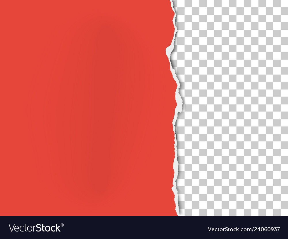 A piece of paper with the torn part on the right Vector Image