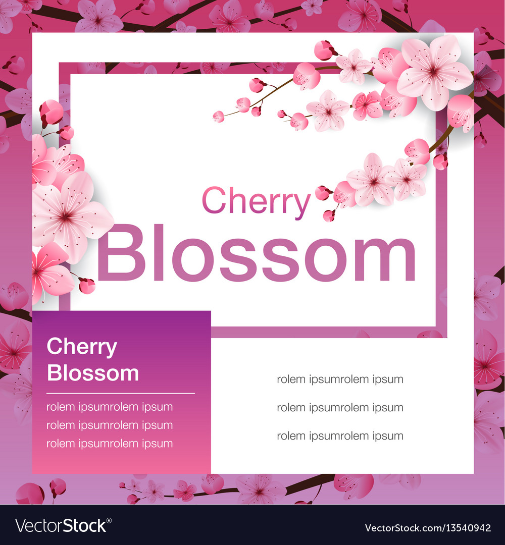 sakura blossom design