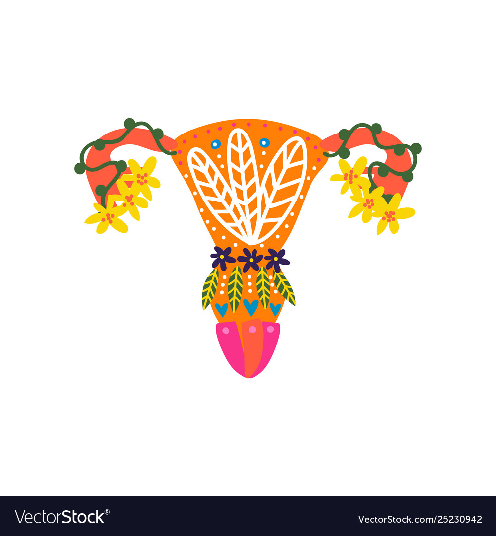 Healthy female reproductive system with bright Vector Image