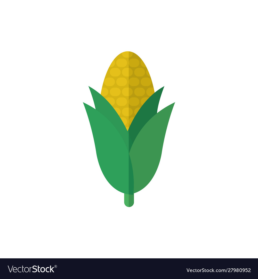 Isolated corn food design Royalty Free Vector Image