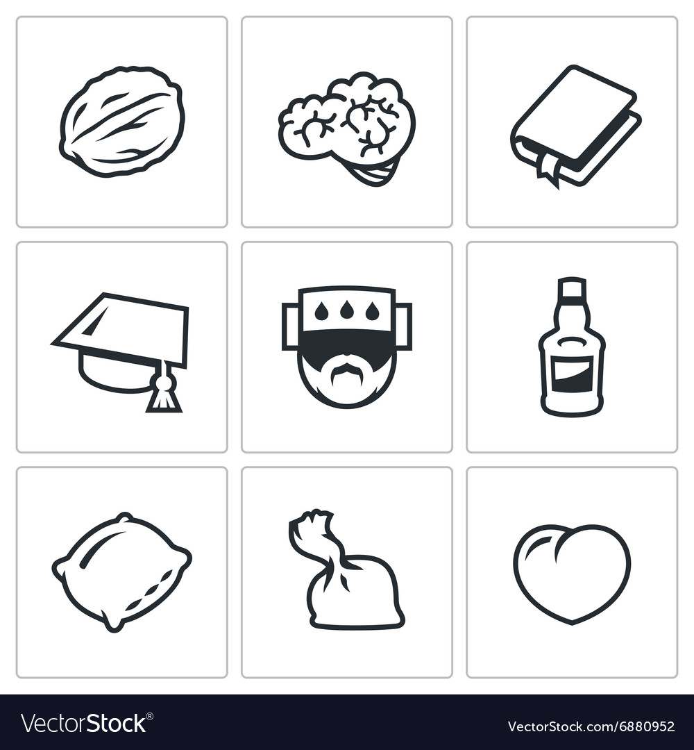 brain development icon brain development icon