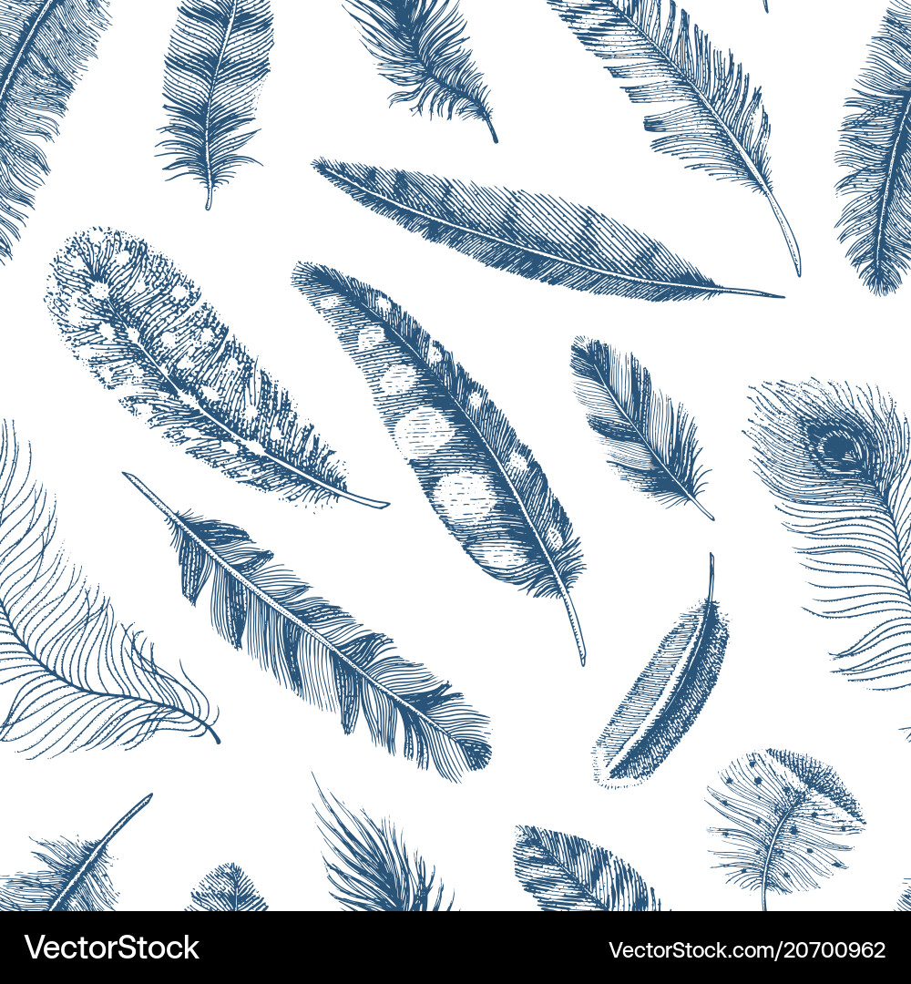 Seamless pattern rustic realistic feathers Vector Image