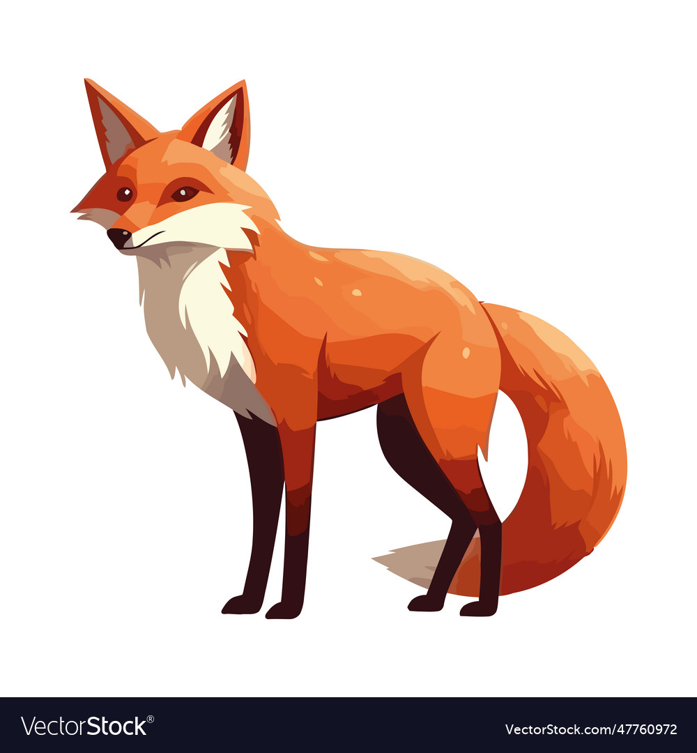 Cute cartoon red fox standing with tail up Vector Image