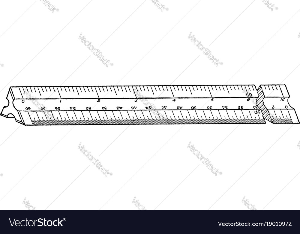Engineers scale ruler fixed ratio length Vector Image