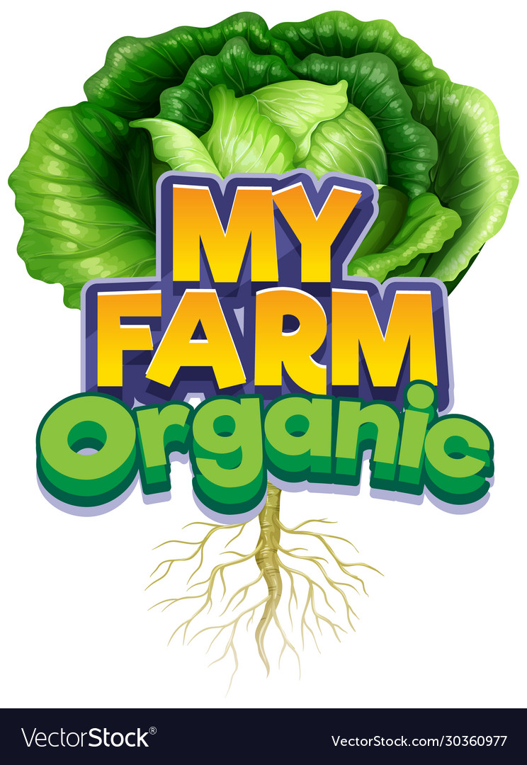 Font Design For Word My Farm With Fresh Cabbage Vector Image