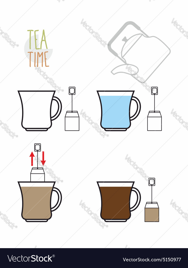 Instruction tea infographics steps to make tea Vector Image