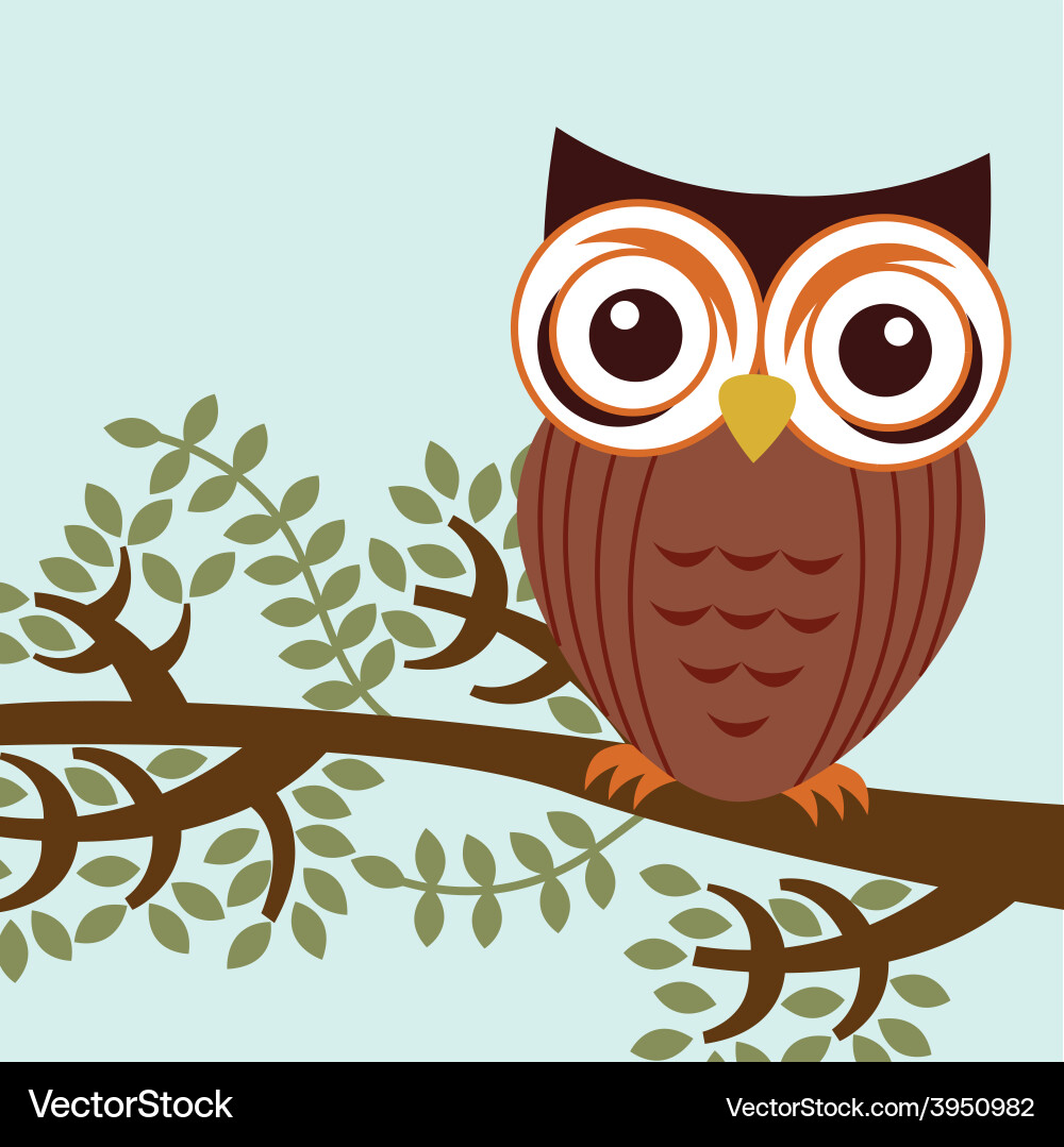 Owl bird Royalty Free Vector Image - VectorStock