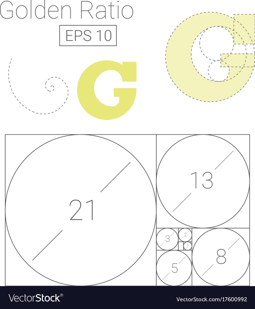 golden ratio template logo fibonacci royalty free vector