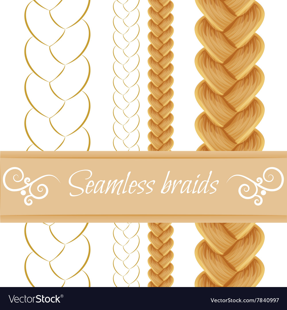 Hair Braided Isolated On White Seamless Three Vector Image