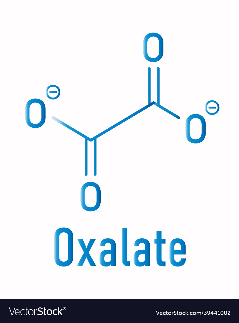 Oxalate anion chemical structure skeletal formula Vector Image