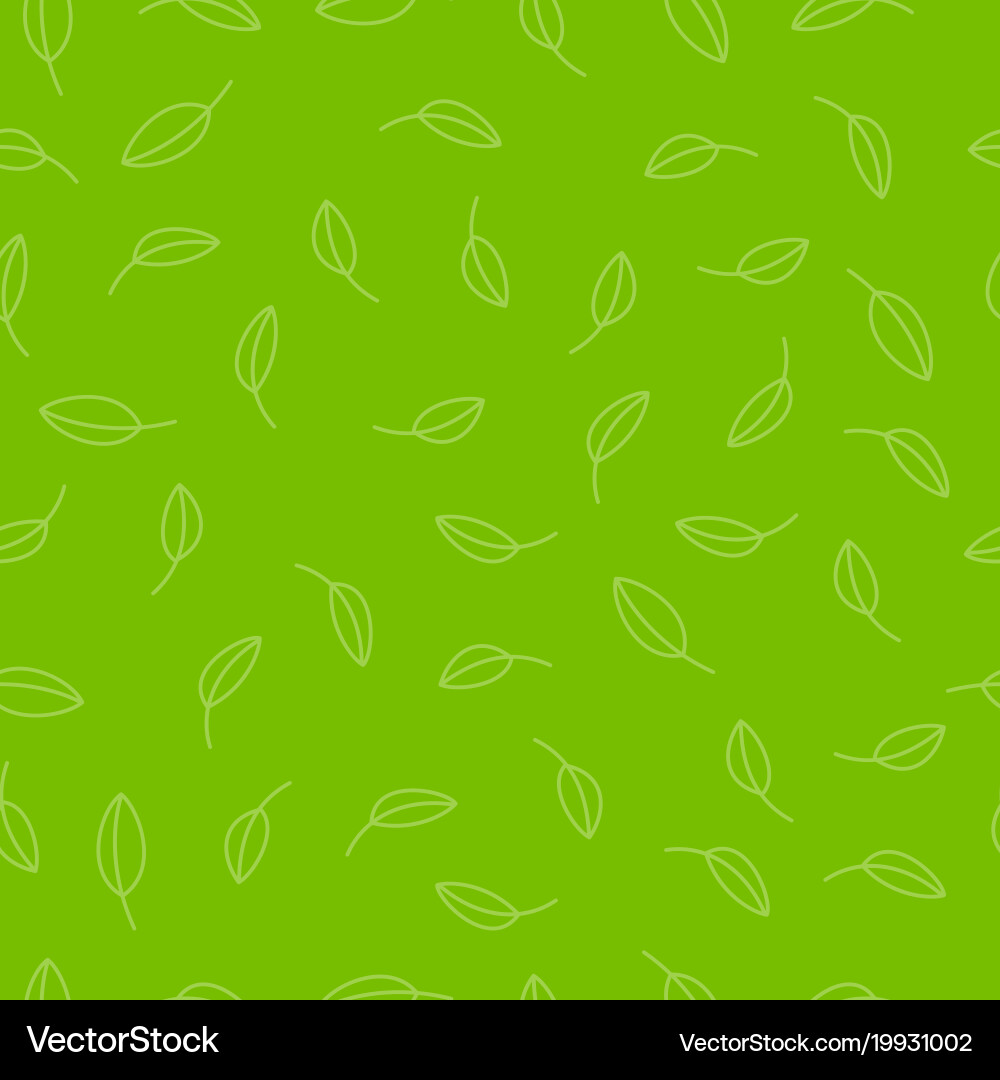 Seamless pattern leaves organic tea plant Vector Image
