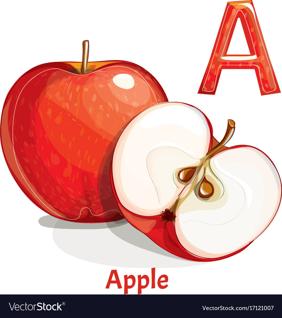 Download Alphabet letter a apple Royalty Free Vector Image