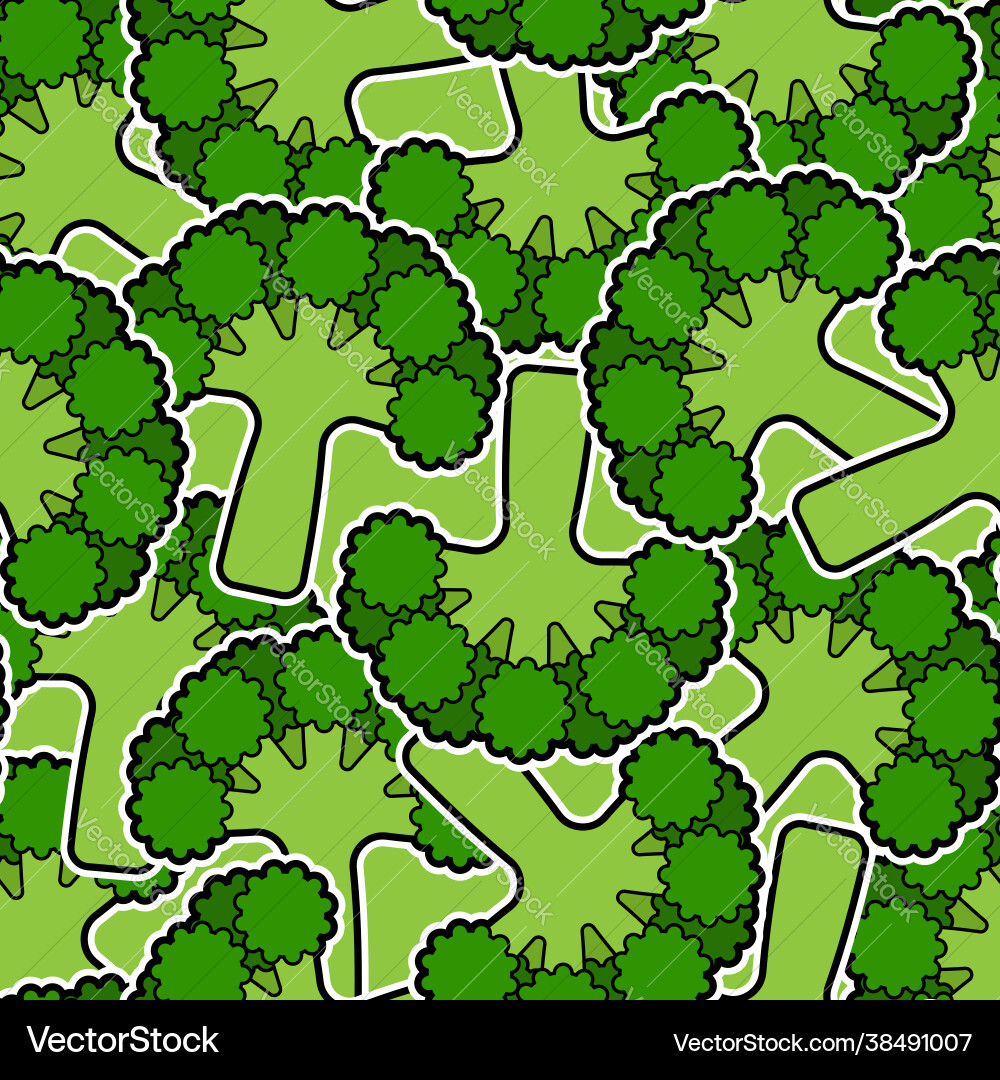 Broccoli pattern seamless vegetable background Vector Image