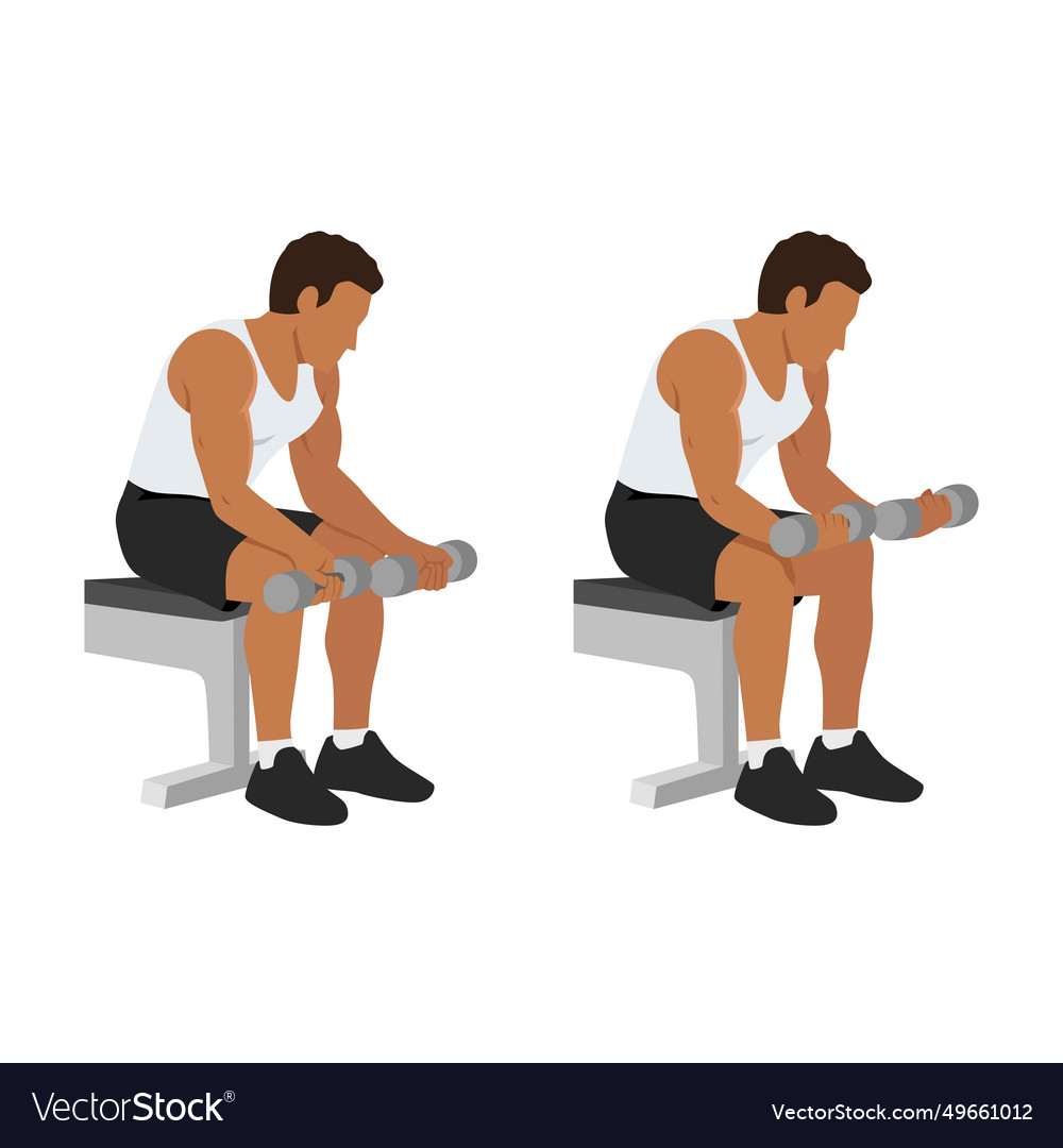 Man doing seated dumbbell palm up wrist curls or Vector Image