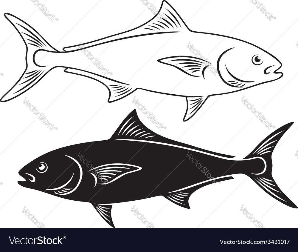 Fish Amberjack Royalty Free Vector Image Vectorstock