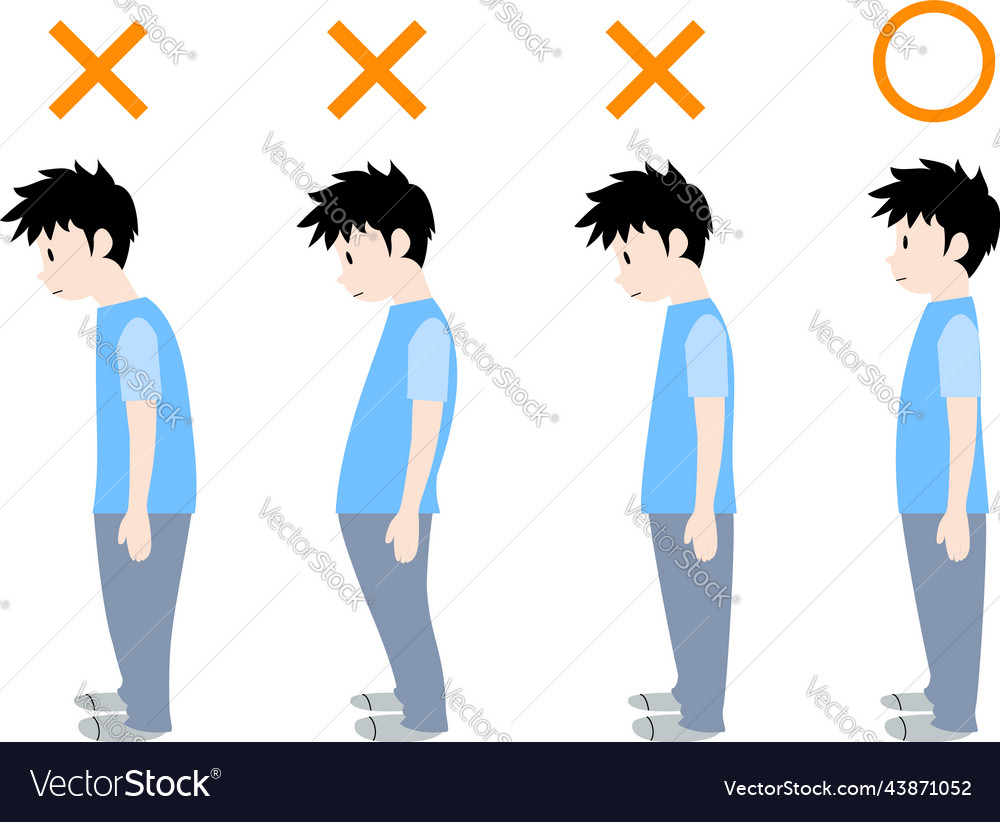 Good posture and bad posture Royalty Free Vector Image