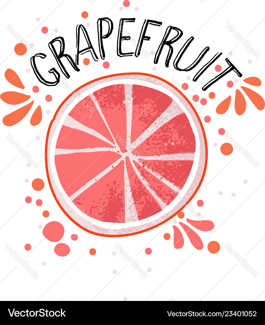 Hand draw grapefruit half Royalty Free Vector Image