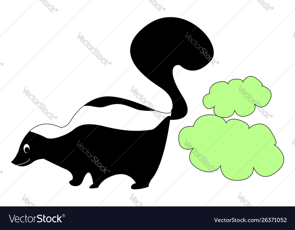 Skunk with poison on white background Royalty Free Vector