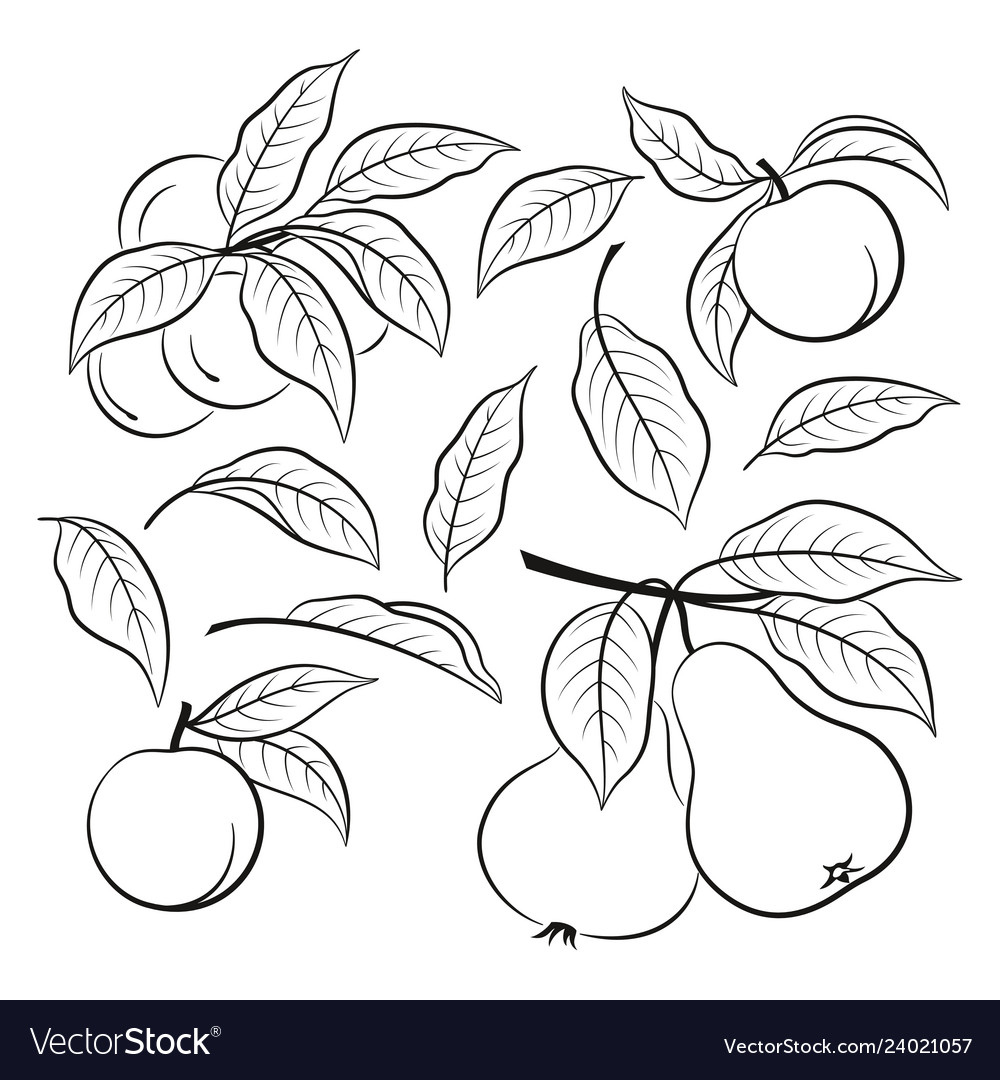 Set fruit pictograms Royalty Free Vector Image