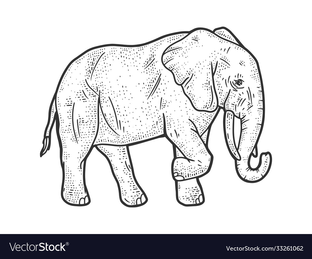 Elephant sketch Royalty Free Vector Image - VectorStock