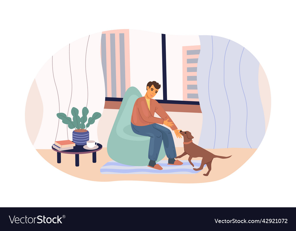 Man playing with lovely dog sitting on armchair Vector Image