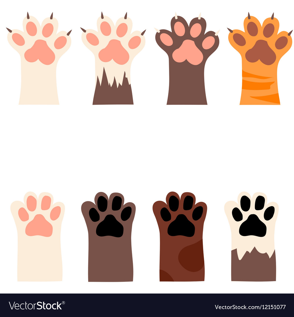 Cat Paw Prints Vs Dog Cat Meme Stock Pictures And Photos