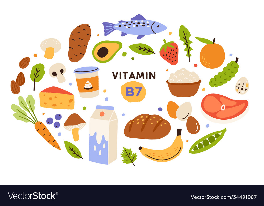 Collection Vitamin B7 Source Food Containing Vector Image