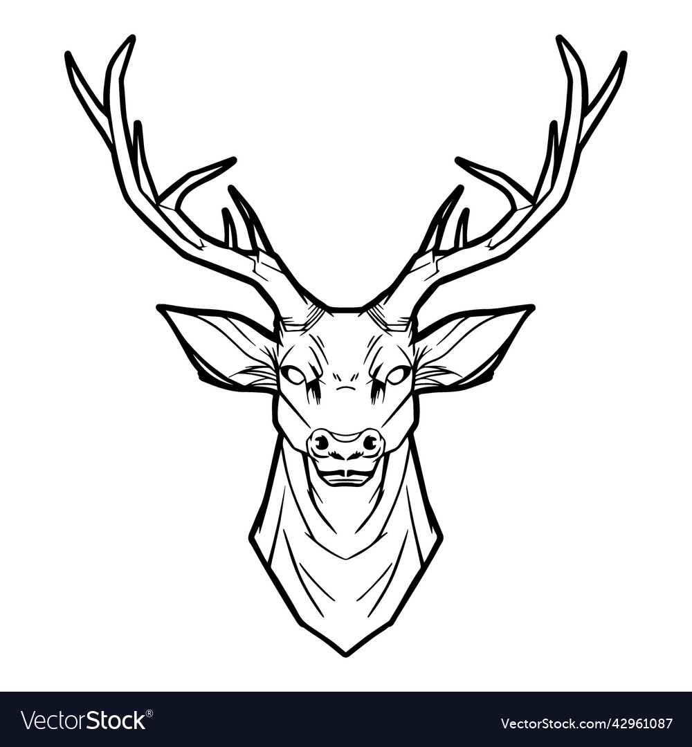 Deer Head Drawn High Quality Royalty Free Vector Image