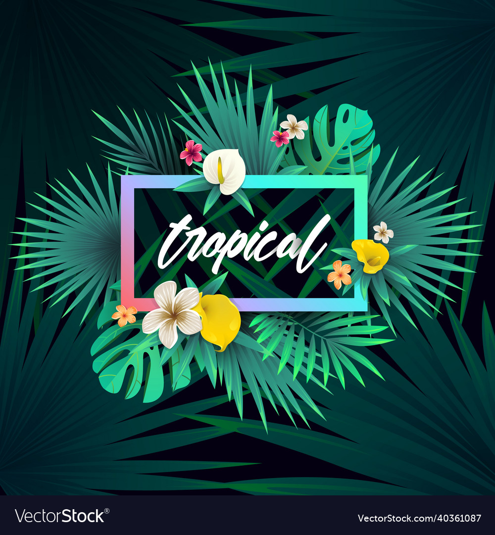 Summer tropical background design Royalty Free Vector Image