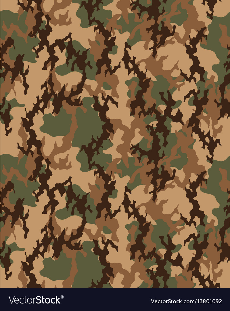 Fashionable camouflage pattern Royalty Free Vector Image