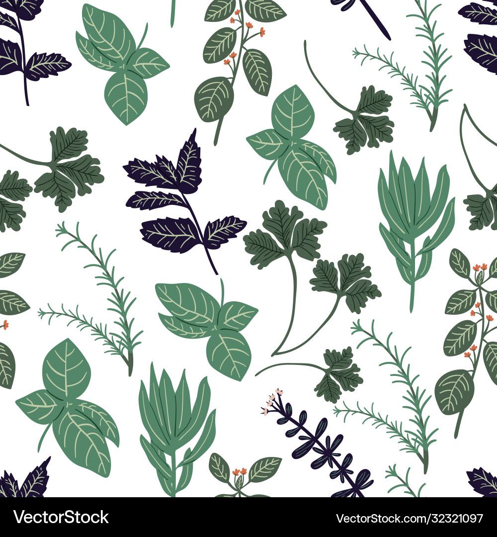 Floral seamless pattern with hand drawn herb Vector Image