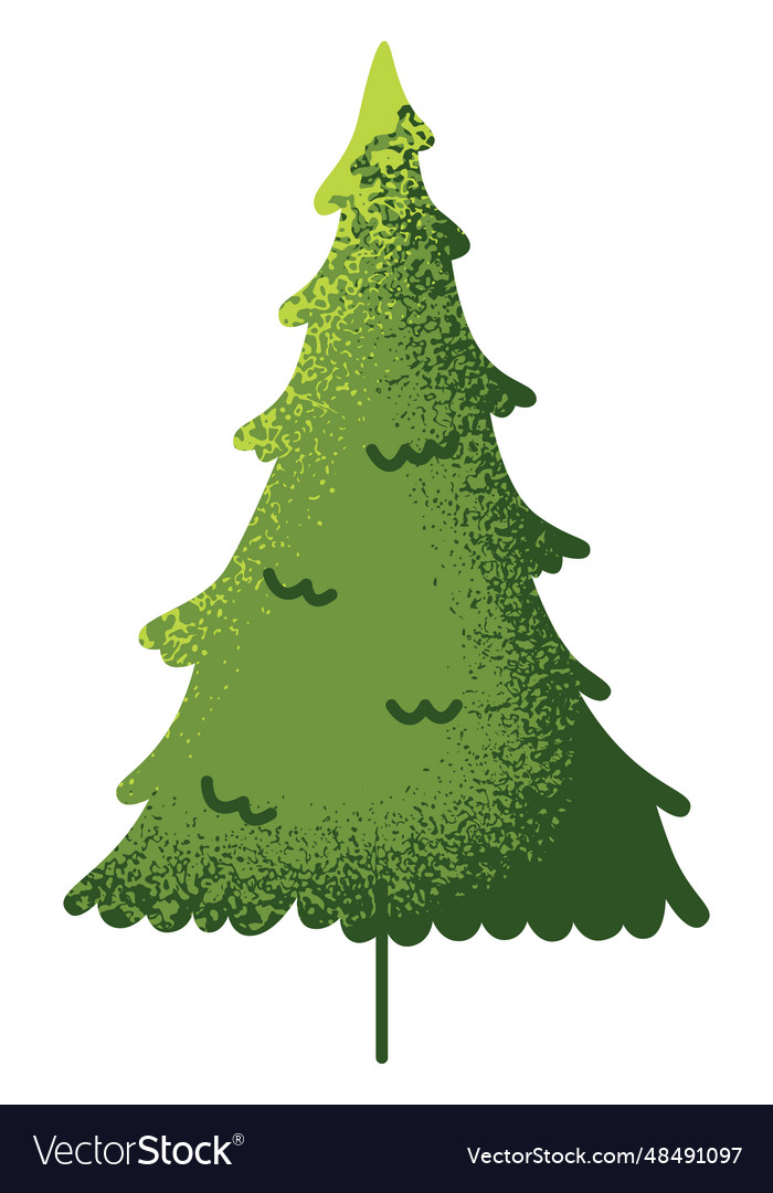 Evergreen Texture