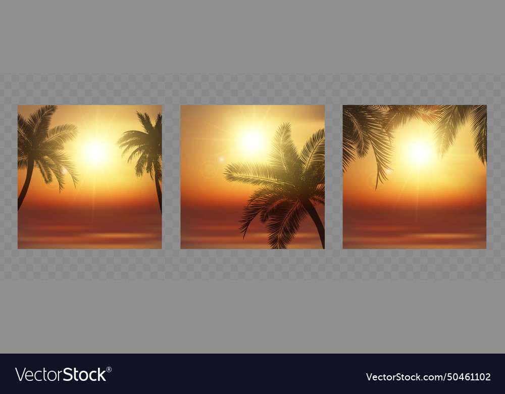 Tropical beach sunset silhouette of palm trees