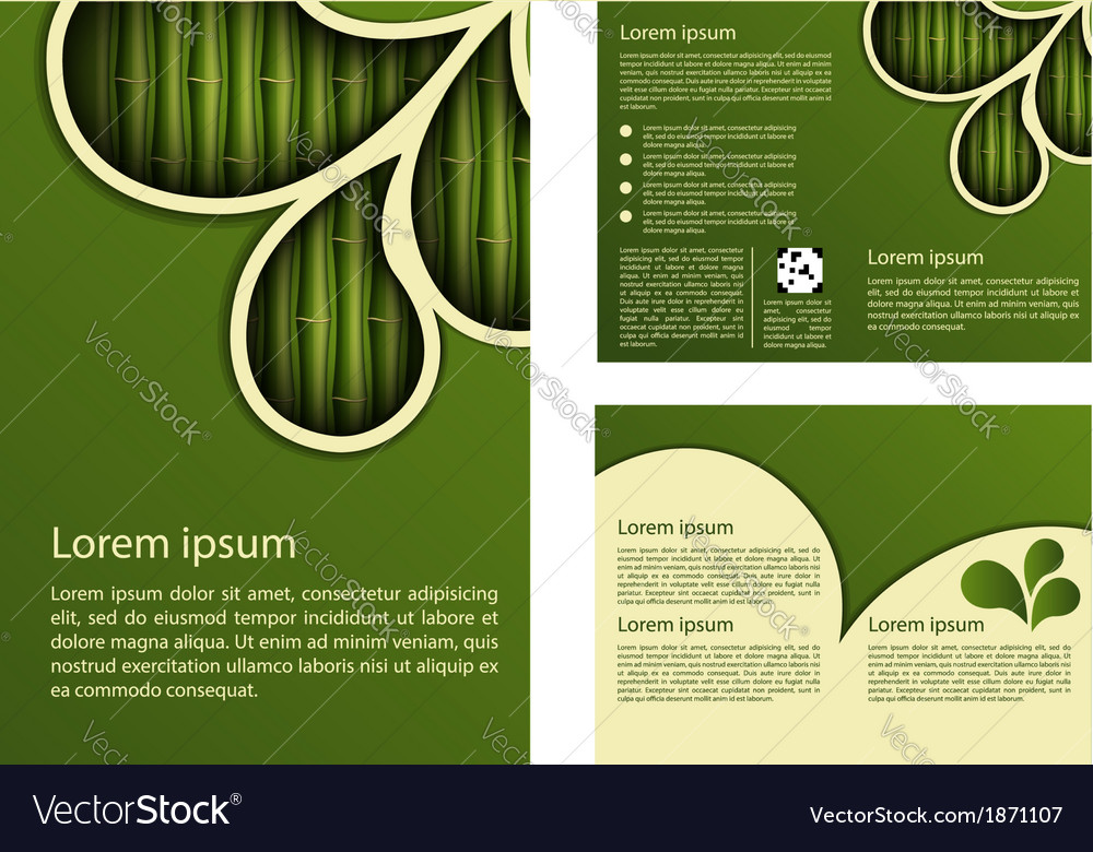 Bamboo design template Royalty Free Vector Image