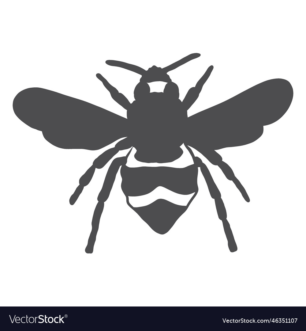 Bee wing wasp stripe silhouette Royalty Free Vector Image