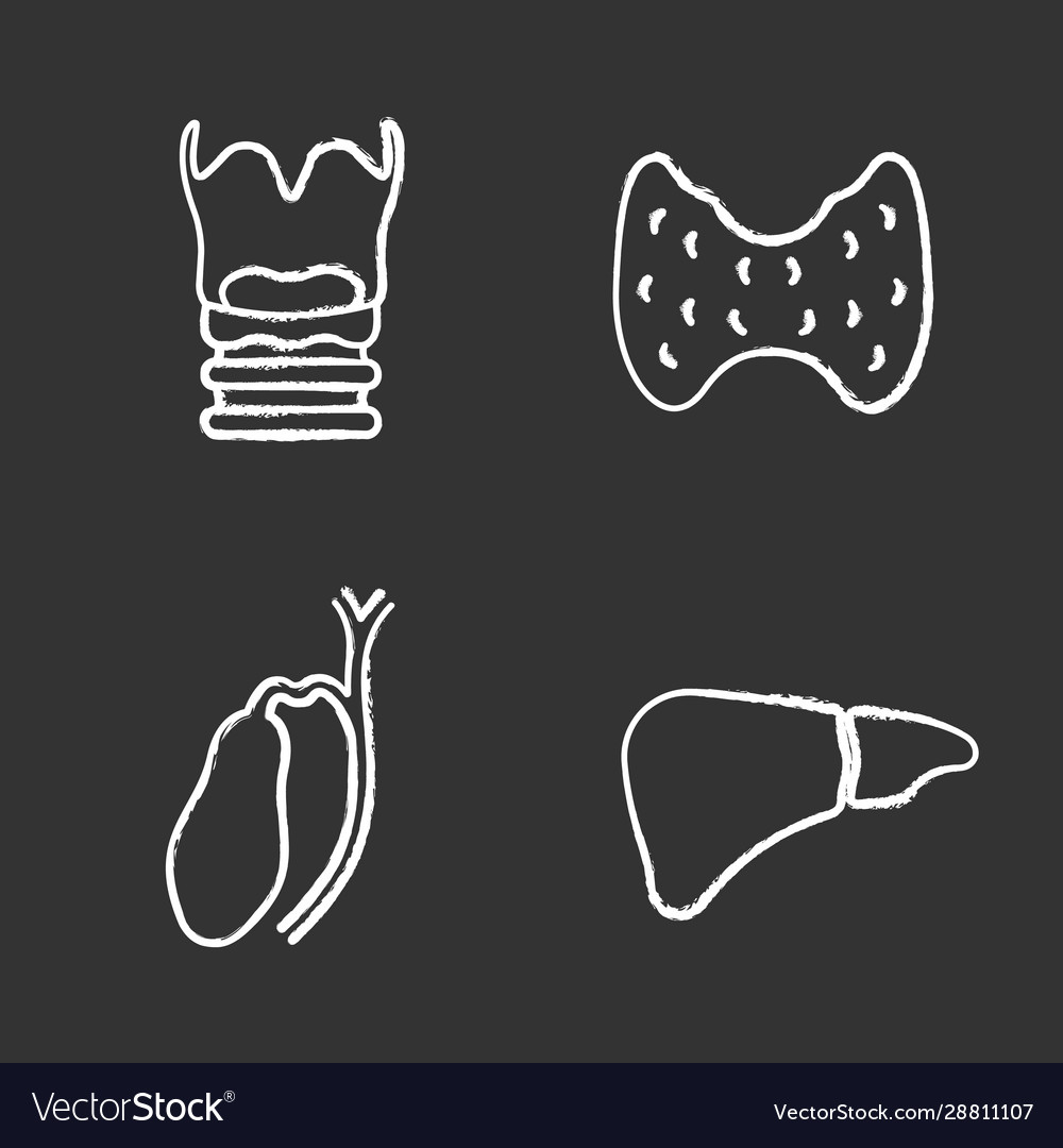 Internal organs chalk icons set Royalty Free Vector Image