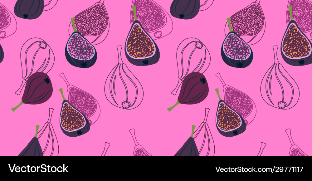 Bright linear pattern with figs Royalty Free Vector Image