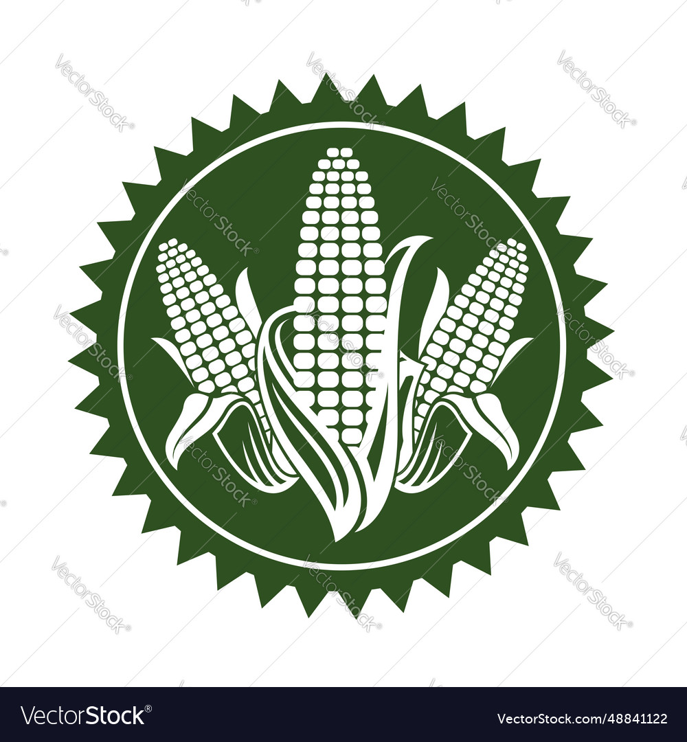 Corn cob emblem Royalty Free Vector Image - VectorStock