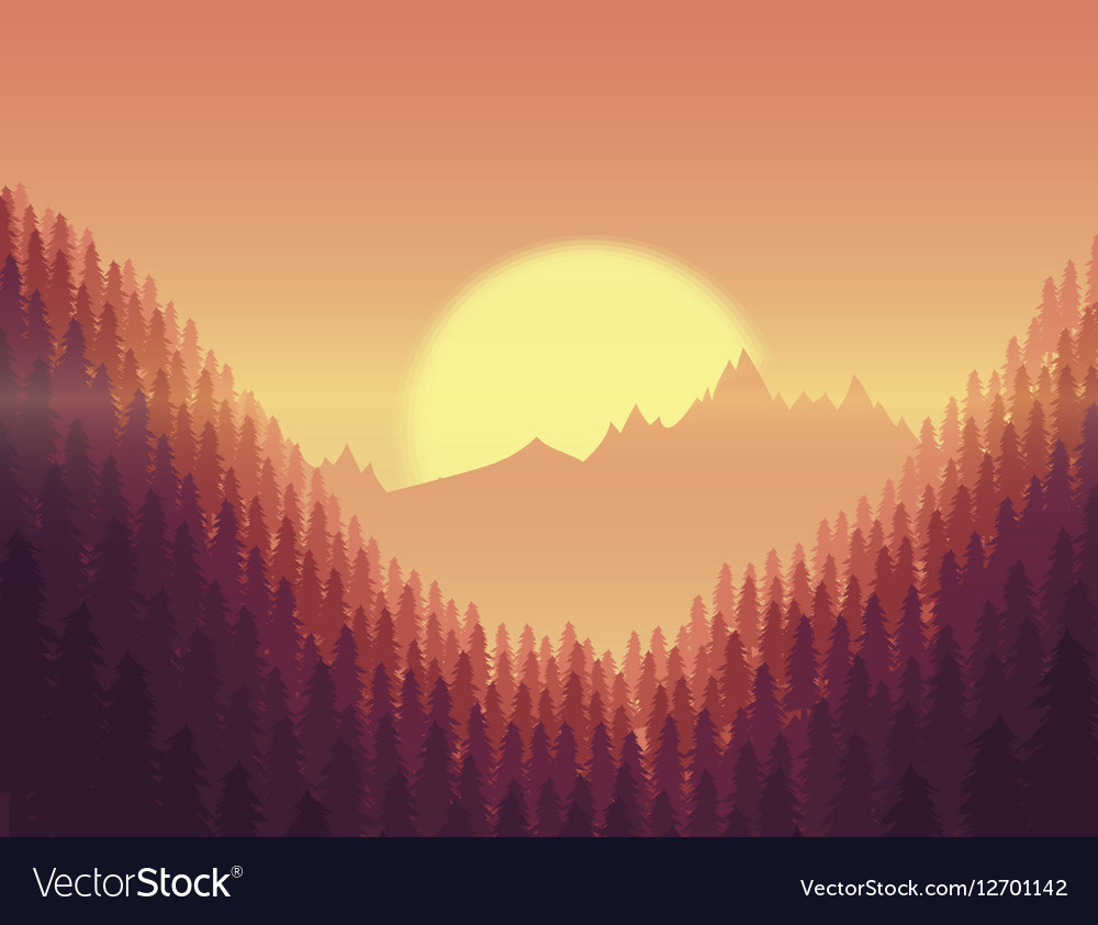 Background of landscape with deep fir forest Vector Image