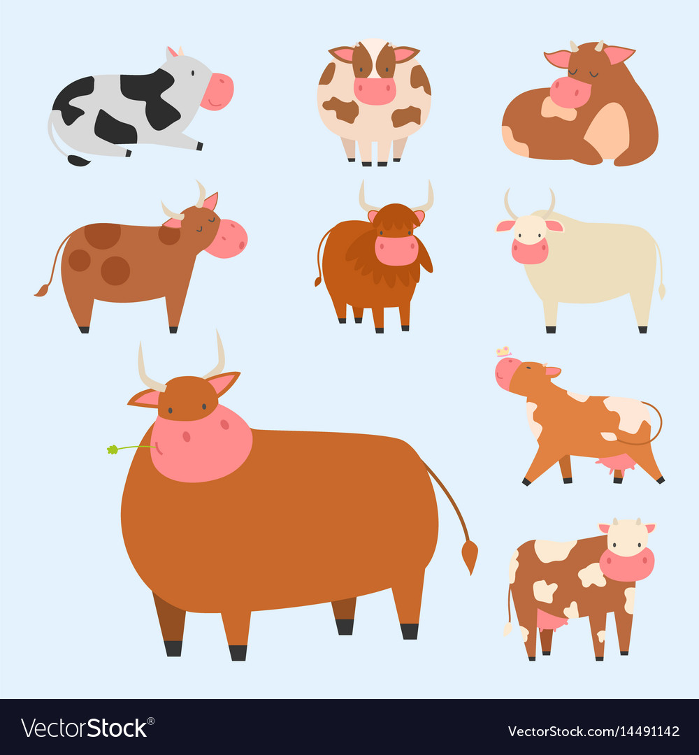 Bulls cows farm animal character Royalty Free Vector Image