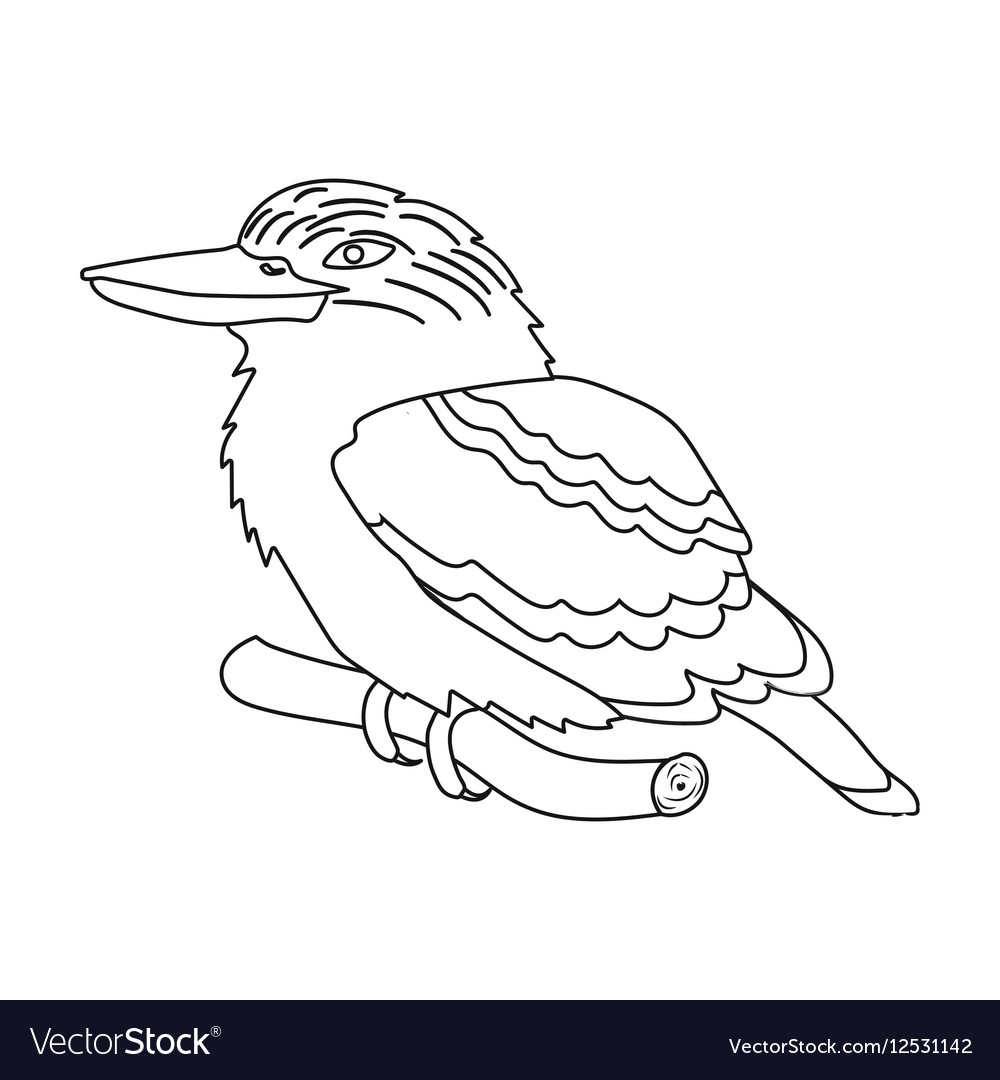 Kookaburra sitting on branch icon in outline style