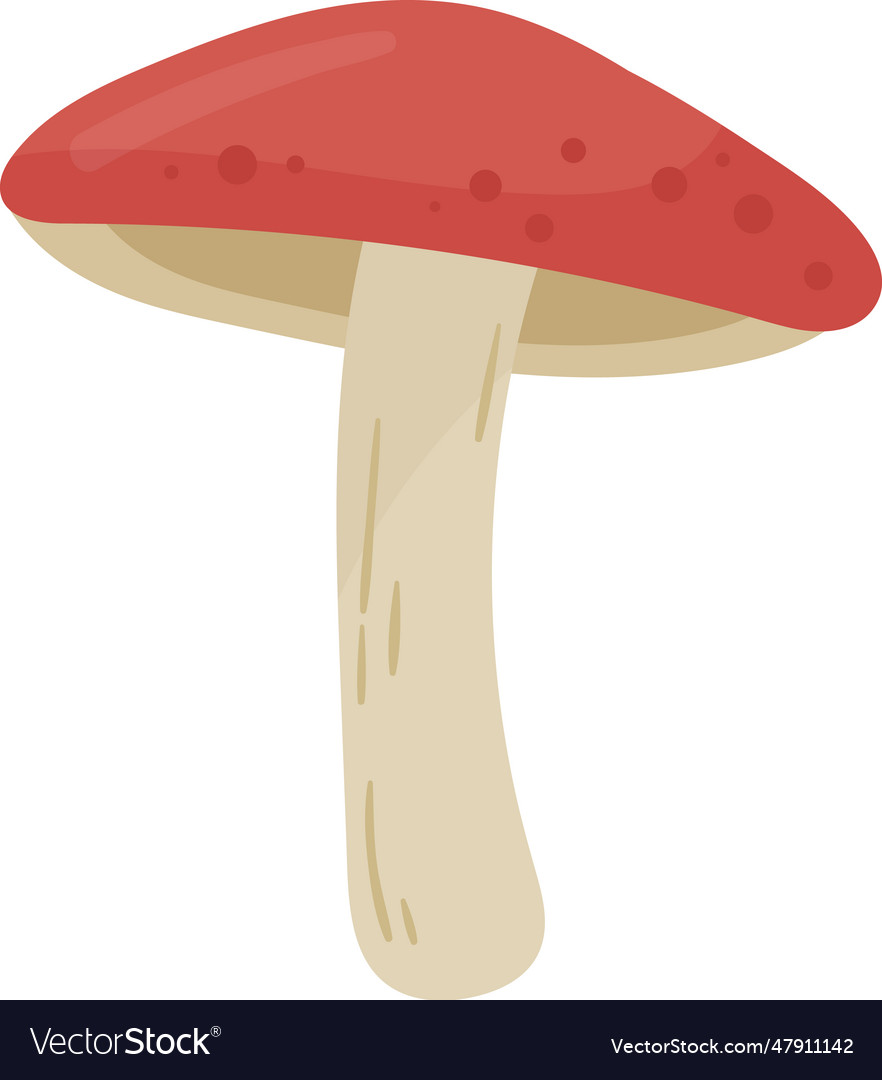 Russula mushroom plant Royalty Free Vector Image