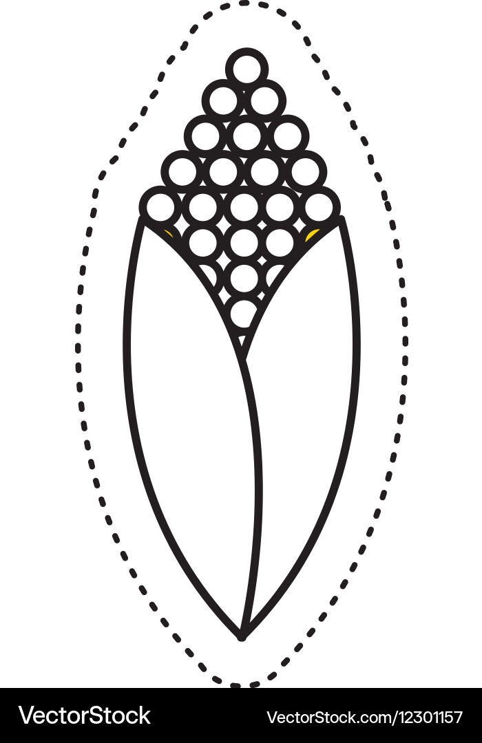 Corn vegetable isolated icon Royalty Free Vector Image