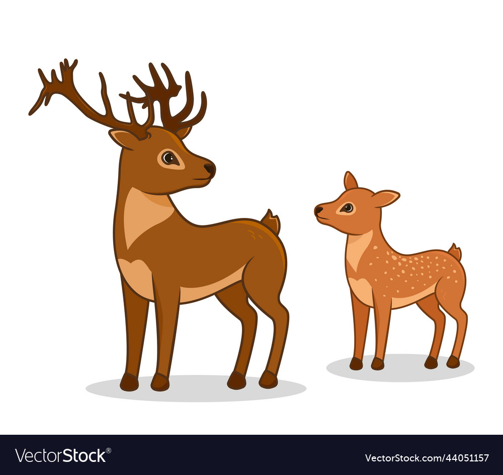 Cute forest animal concept Royalty Free Vector Image