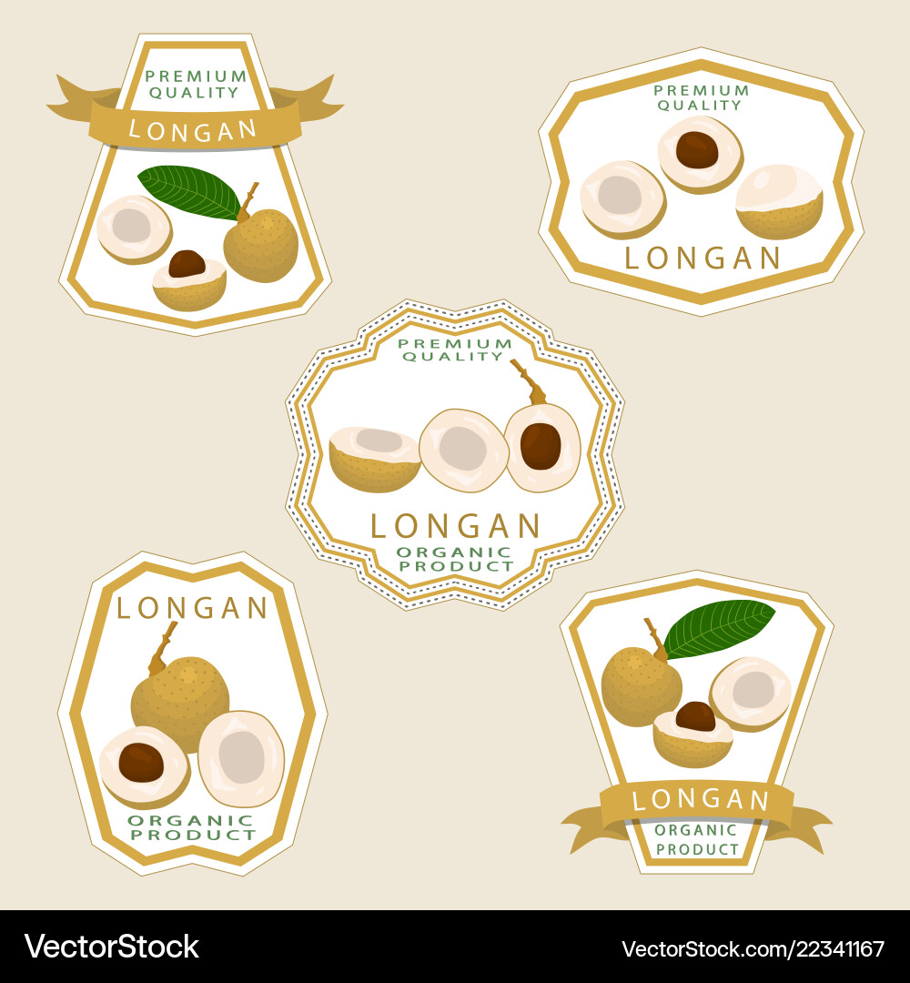 For fruit yellow longan Royalty Free Vector Image
