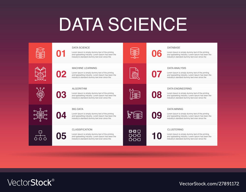 Data science infographic 10 option template Vector Image