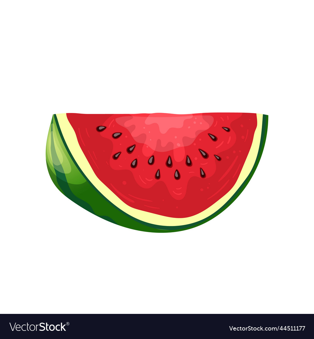 Watermelon Slice Cartoon Royalty Free Vector Image