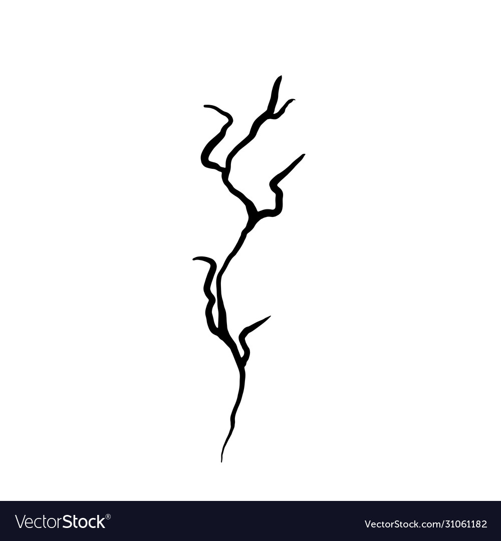 Branch black Royalty Free Vector Image - VectorStock