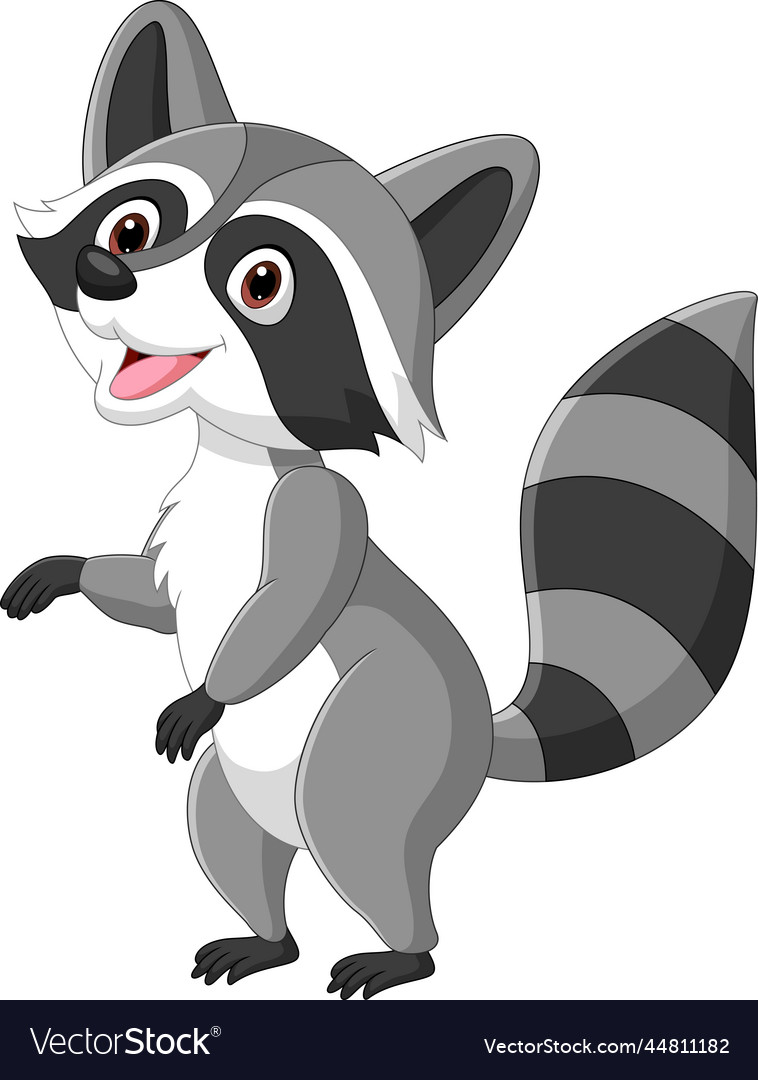 Cute raccoon cartoon on white background Vector Image