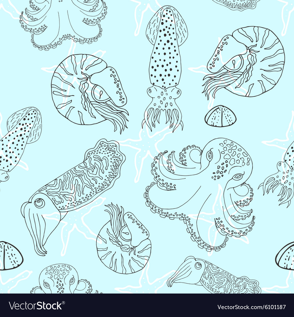 Hand Drawn Cephalopods Seamless Pattern Royalty Free Vector